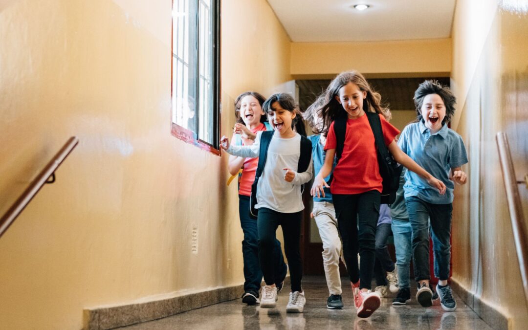 Chaos of rustige gezelligheid?